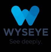 Wyseye Logo